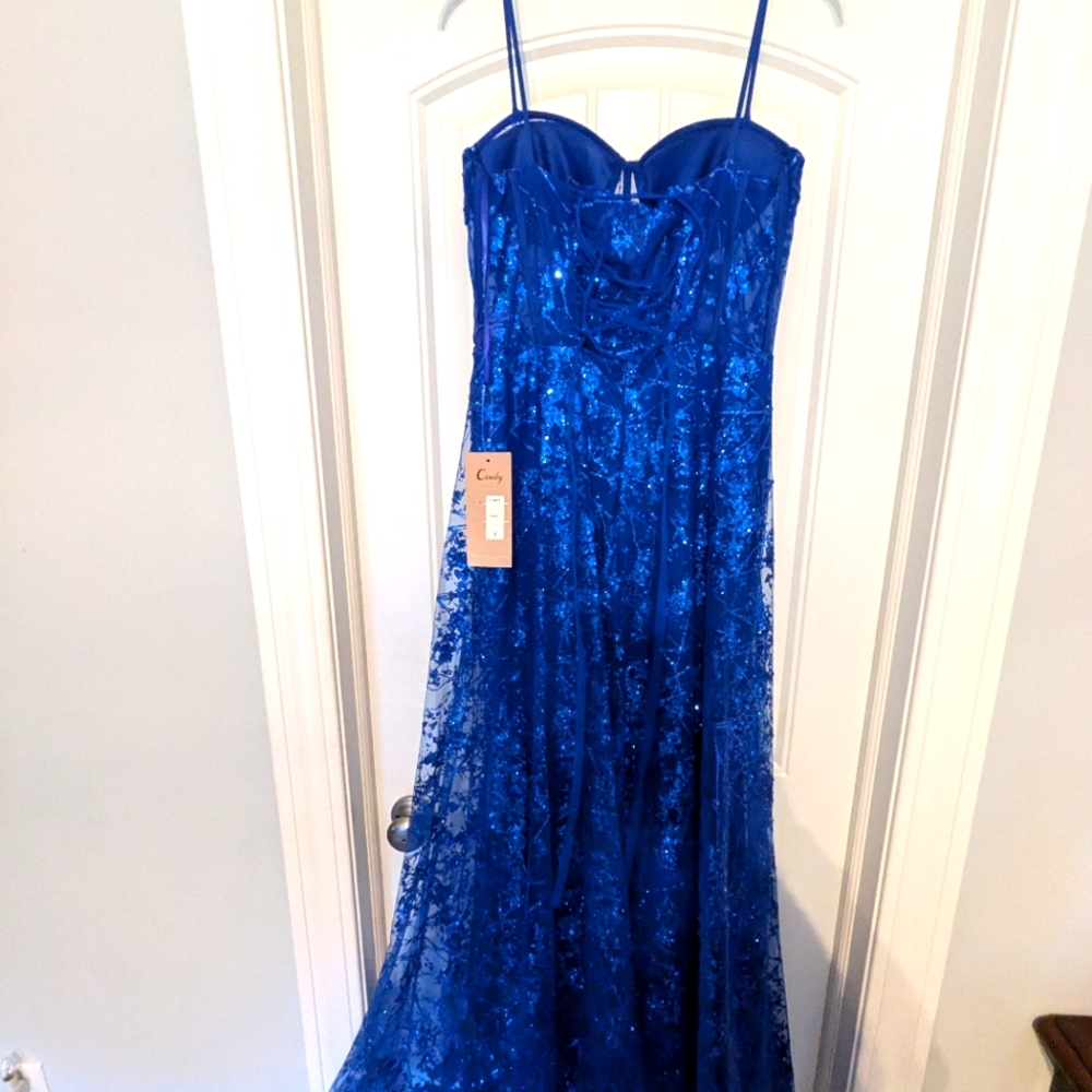 Evening wear/prom dress